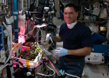Resuelven el misterio de un tomate perdido por el salvadoreño Frank Rubio en la Estación Espacial Internacional