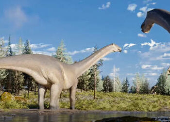 Descubren una nueva especie de dinosaurio herbívoro de cuello largo en Argentina