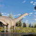 Descubren una nueva especie de dinosaurio herbívoro de cuello largo en Argentina
