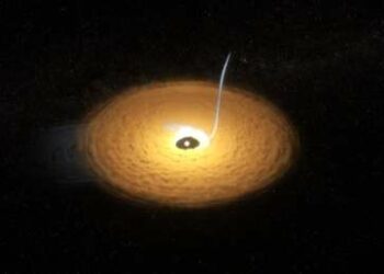 El James Webb detecta una polvorienta ‘cola de gato’ en un sistema planetario distante