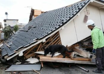 Ascendió a 92 el número de muertos y a 242 el de desaparecidos por el terremoto en Japón
