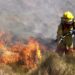 Colombia trata de controlar incendios forestales, Bogotá continúa en alerta por altas temperaturas