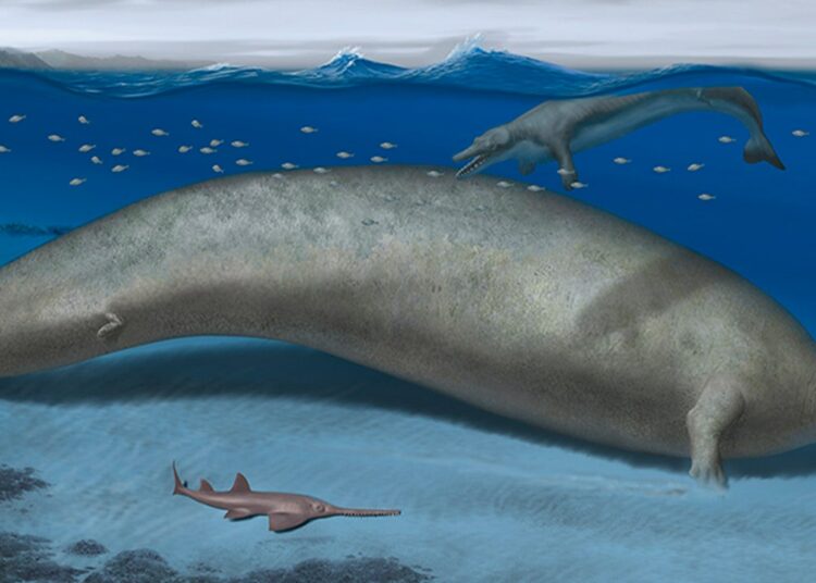 Descubiertos los restos del animal más grande de todos los tiempos