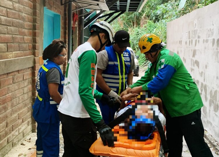 Hombre sobrevive a caída de un árbol en finca Las Flores, de San Salvador