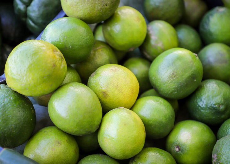 MAG promueve apoyo al subsector productor de cítricos en San Juan Opico