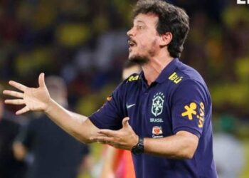 Fernando Diniz fue despedido como entrenador de la selección de Brasil
