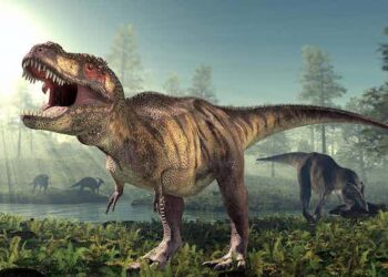 El cambio climático reduce el tamaño de grandes animales