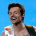 Harry Styles respira aliviado, su más reciente acosadora ha sido detenida