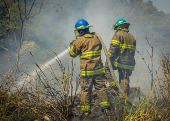 Bomberos sofocan tres incendios de maleza seca