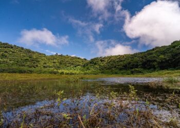 Pronostican cielo despejado y poco nublado para este domingo