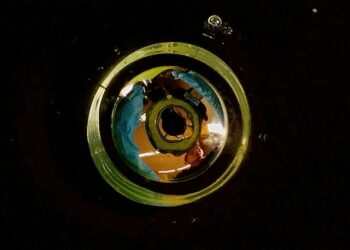 Desarrollan en China la primera memoria RAM flexible