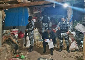 Desarticulan banda criminal por delitos de robo y hurto de ganado