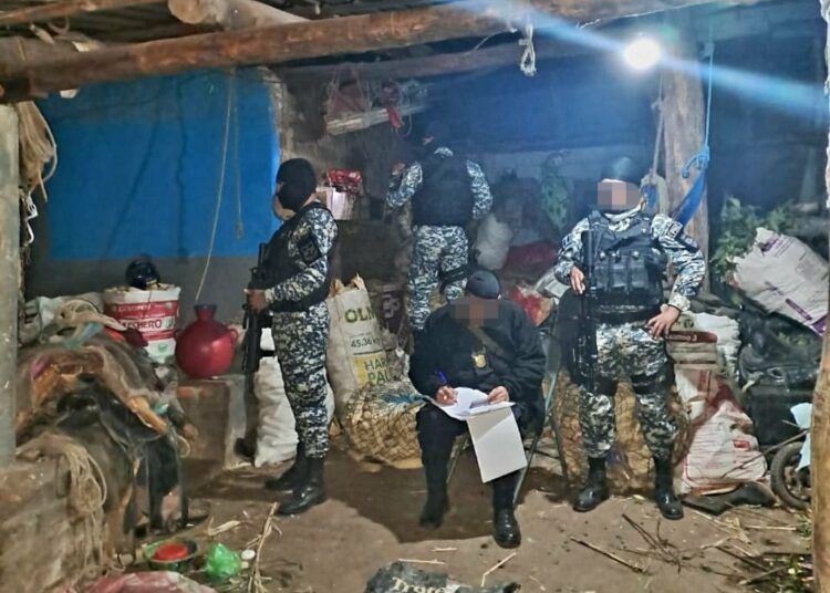 Desarticulan banda criminal por delitos de robo y hurto de ganado