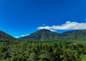 Vientos nortes ingresan al país a partir de esta noche