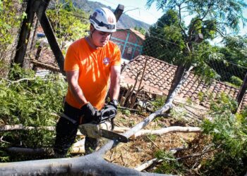 Protección Civil poda árboles para evitar daños en viviendas de Moncagua, San Miguel
