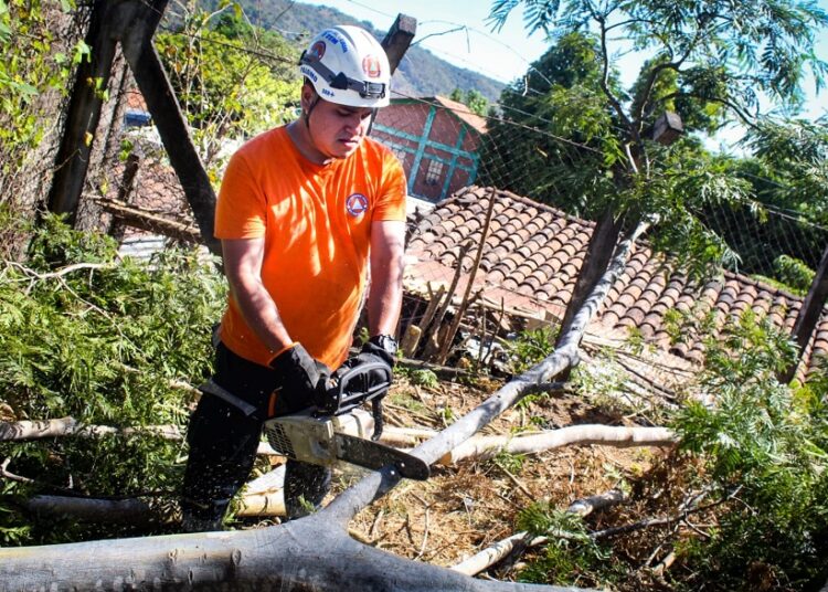 Protección Civil poda árboles para evitar daños en viviendas de Moncagua, San Miguel