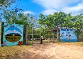 Detectan muerte de peces y camarones en río Paz, de Ahuachapán