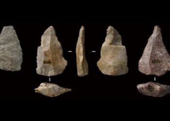 Descubren en China el ‘tesoro’ más antiguo de innovaciones culturales y tecnológicas humanas de Asia oriental