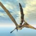 Descubrieron un nuevo fósil de un dinosaurio volador en Escocia