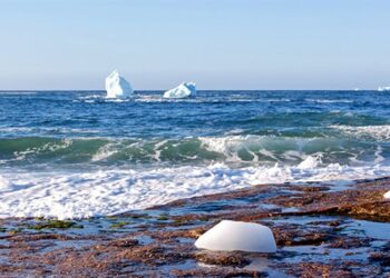 Corrientes marinas que llevan calor al hemisferio norte pueden colapsar y provocar una nueva glaciación
