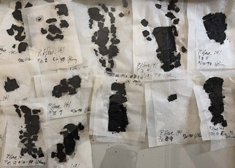 Después de 2.000 años, se descifra un pergamino carbonizado durante la erupción del Vesubio