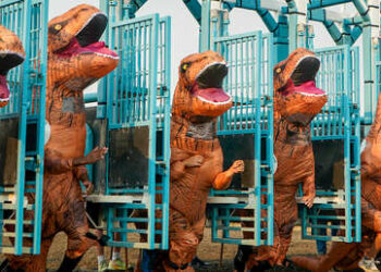 VIDEO: ‘Tiranosaurios’ compiten en una divertida carrera en Japón