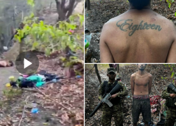 Por meses estuvo escondido en un campamento tratando de escapar del Régimen de Excepción