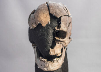 Más de un siglo después de hallado, descubren detalles vitales de un hombre que murió hace unos 5.200 años