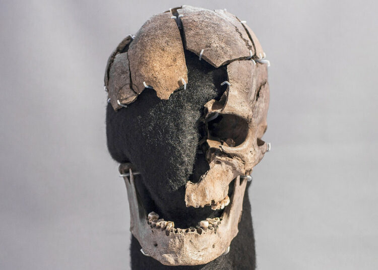 Más de un siglo después de hallado, descubren detalles vitales de un hombre que murió hace unos 5.200 años