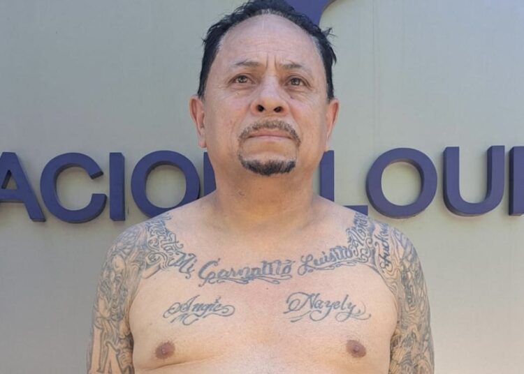 Capturan a pandillero que movilizaba a mareros para que se escaparan del país