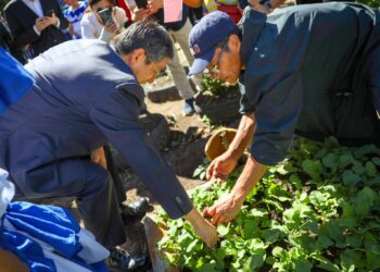 FAO implementa invernadero y huerto en CUBO de la IVU