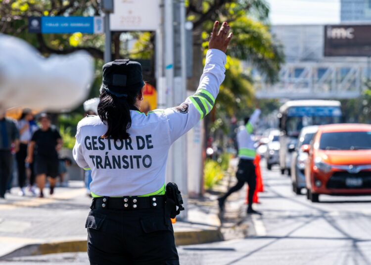 VMT verificará servicio de transporte gratuito este domingo