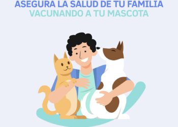 Ministerio de Salud realiza campaña de vacunación para caninos y felinos