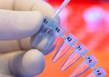 Tras hacerse una prueba de ADN una mujer descubrió que tiene 22 hermanos y uno de ellos es su ex novio