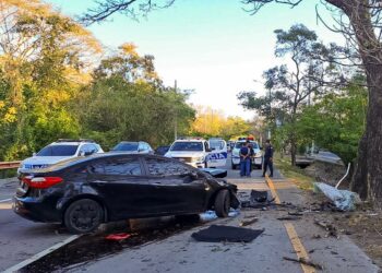 Conductor se duerme y choca contra unos árboles en accidente de tránsito