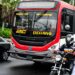 Domingo habrá servicio de transporte colectivo gratis