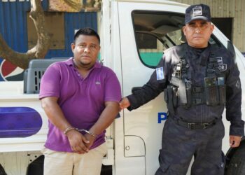 Capturan a motorista que atropelló y abandonó en un basurero a un perrito