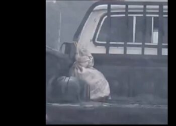 Buscan a conductor que llevaba a un animal vivo dentro de un saco y bajo la lluvia