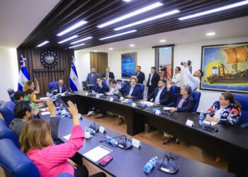 Diputados continúan estudio de nueva ley que ordenará al sector salud