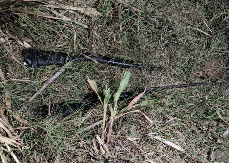 Delincuentes abandonan dos fusiles en el cantón Tecomapa, de Metapán