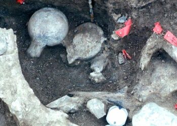 Huesos reescriben la historia del Homo sapiens en Europa