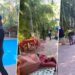 VIDEO | Mariachi cae al agua al tocar Las Mañanitas