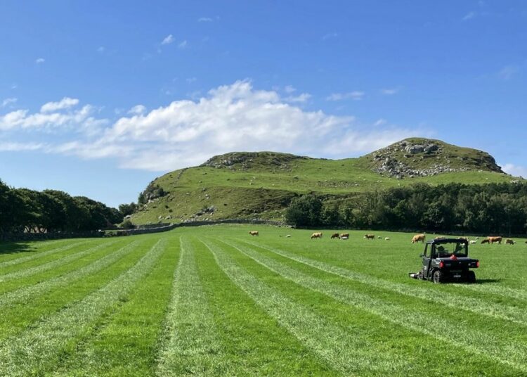 Encuentran un posible mercado de la época vikinga en Noruega