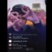 Capturan a joven que en Instagram presumía ser pandillero