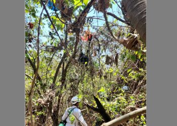 Paracaidista resulta ileso tras quedar atrapado en un árbol cerca del Aeropuerto de Ilopango