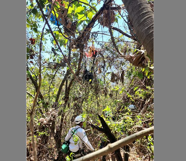 Paracaidista resulta ileso tras quedar atrapado en un árbol cerca del Aeropuerto de Ilopango