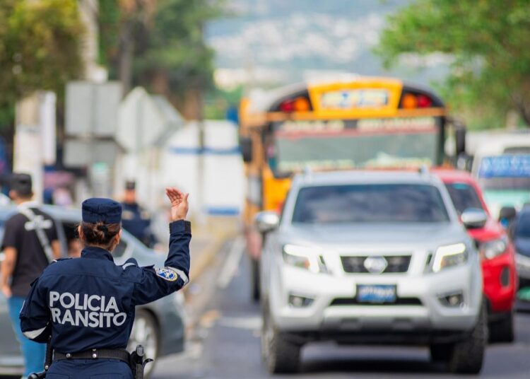 Licencia De Conducir Y Tarjeta De Circulación Ya Se Pueden Renovar En Línea Diario La Página 8471