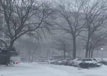 Alerta en el Este de Estados Unidos por un sistema de tormentas que podría producir fuertes nevadas