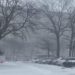 Alerta en el Este de Estados Unidos por un sistema de tormentas que podría producir fuertes nevadas
