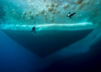 Profundidades de la Antártida suenan como «naves espaciales»